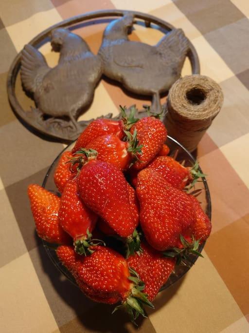 Entre Pierre Et Vigne - Charming Former Winery Farmhouse With Hot Tub & Swimming Pool 모네스티에 외부 사진